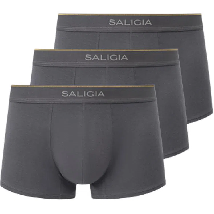 SALIGIA 3