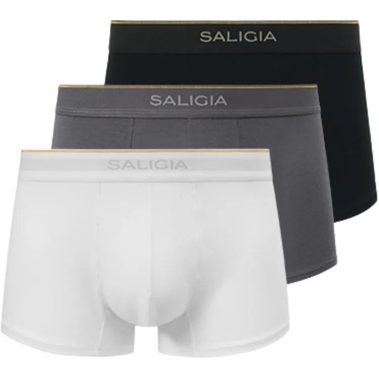 SALIGIA 3