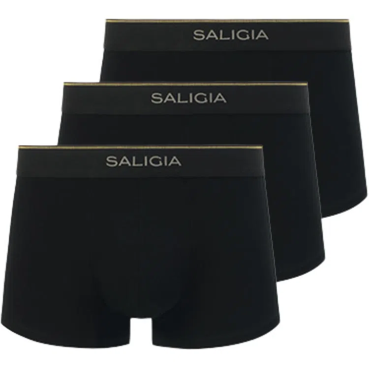 SALIGIA 3