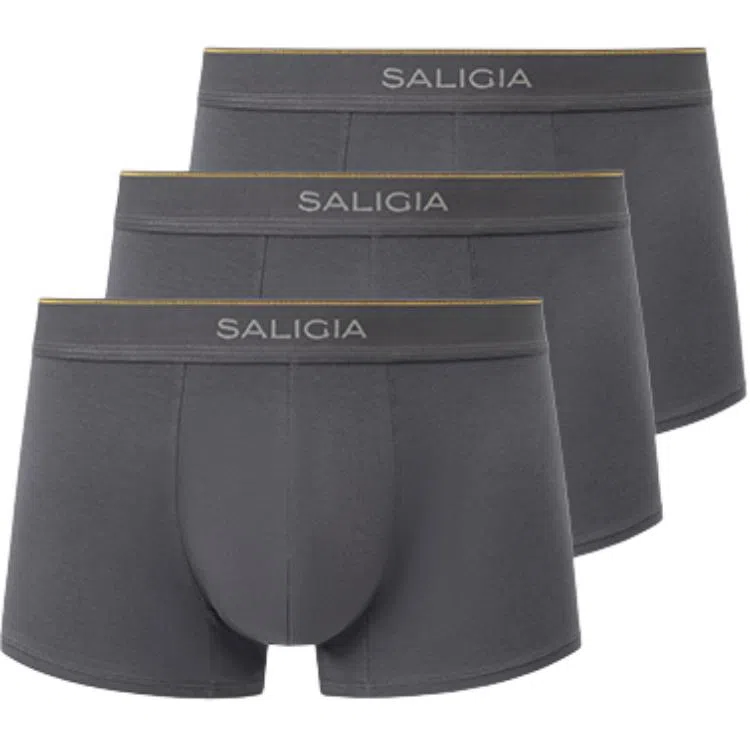SALIGIA 3