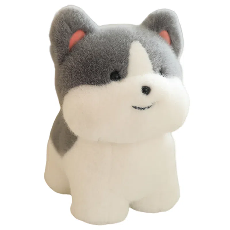 lionf 3 20cm30cm