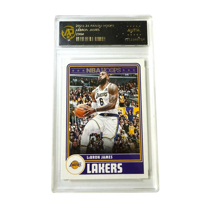 PANINI panini hoops