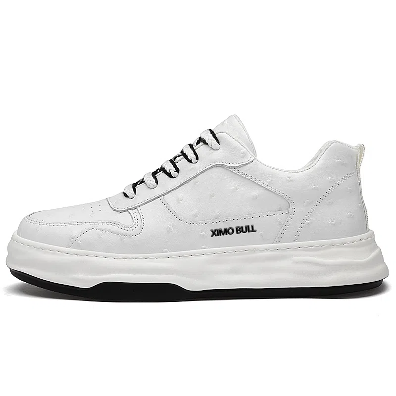 XIMO BULL