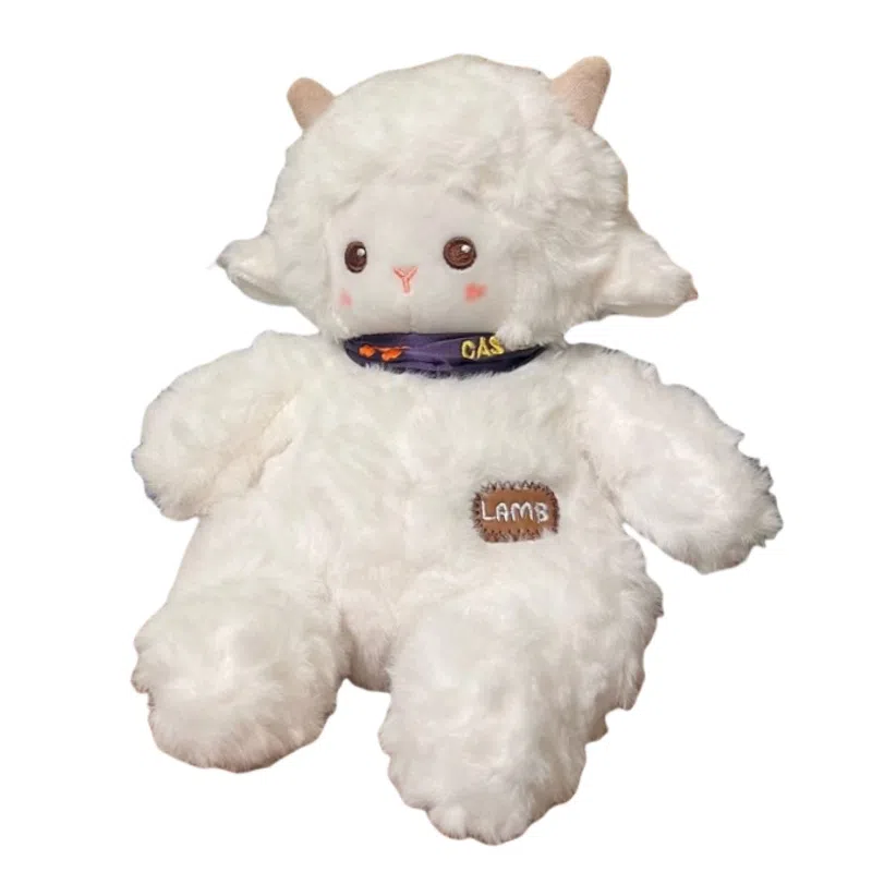 3 23cm