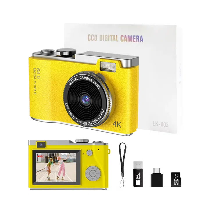 HEY CAT'S DAILY CCD vlog