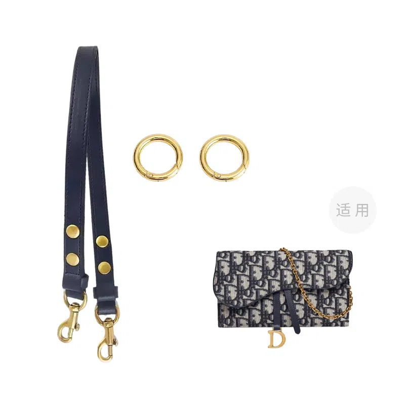 DIOR Saddle Oblique diy