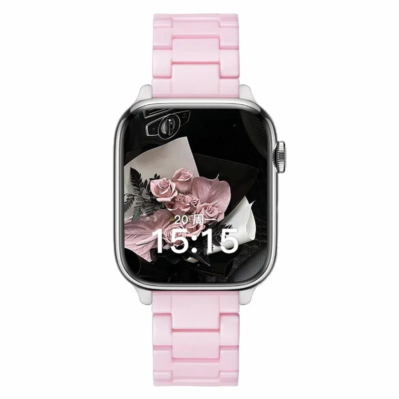 8se76541applewatch s9 38-49mm