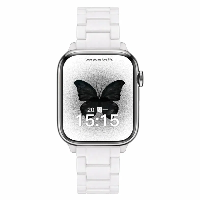 8se76541applewatch s9 38-49mm