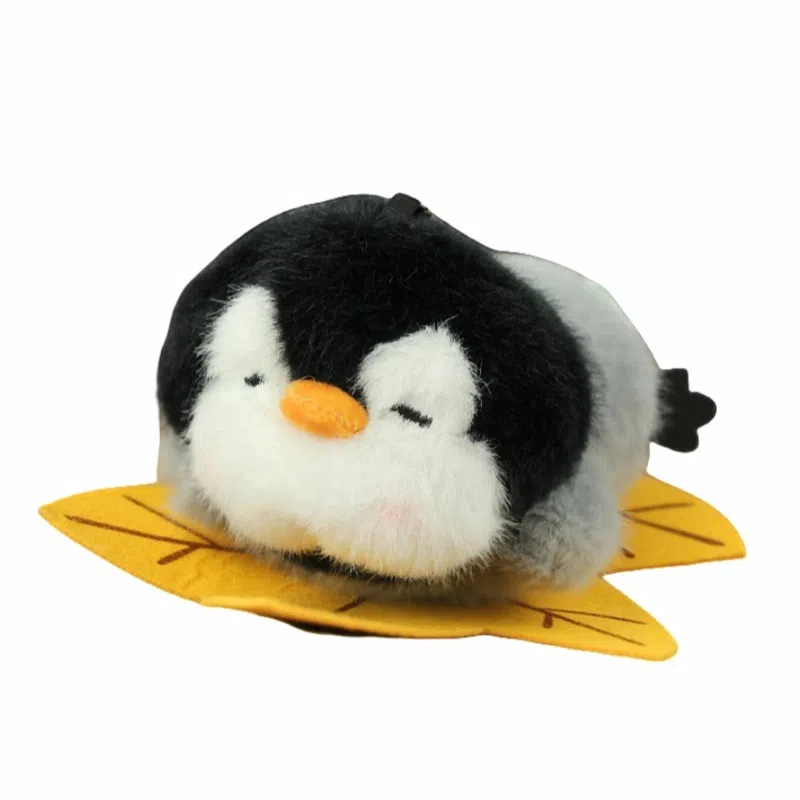 12cm