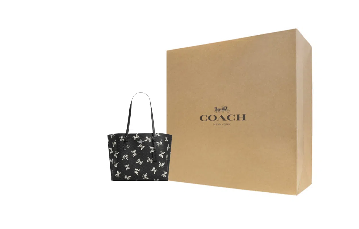 COACH Mollie 34 Tote Bag