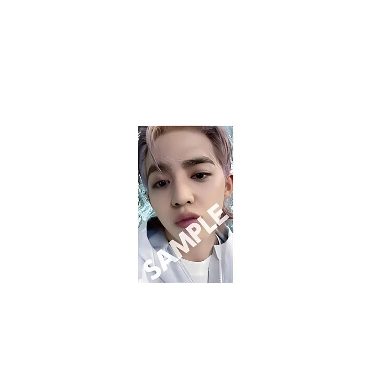 HYBE SEVENTEEN SECTOR 17