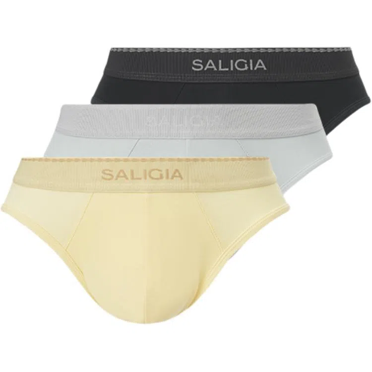 SALIGIA 3