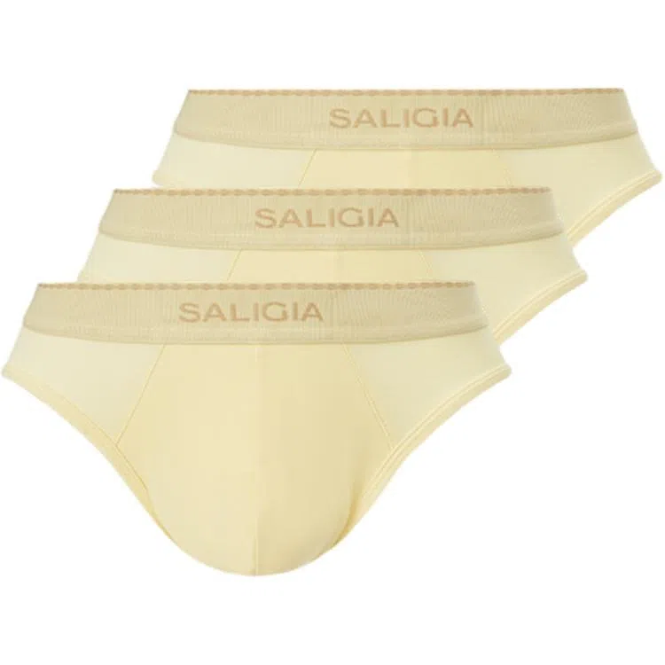 SALIGIA 3