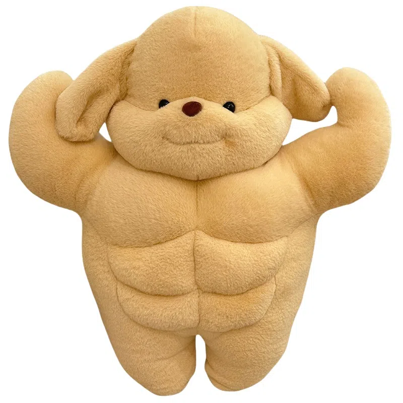 50cm
