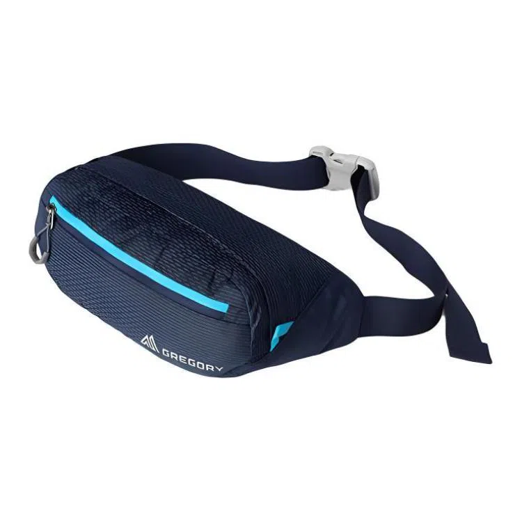 GREGORY Waistpack 2.5L