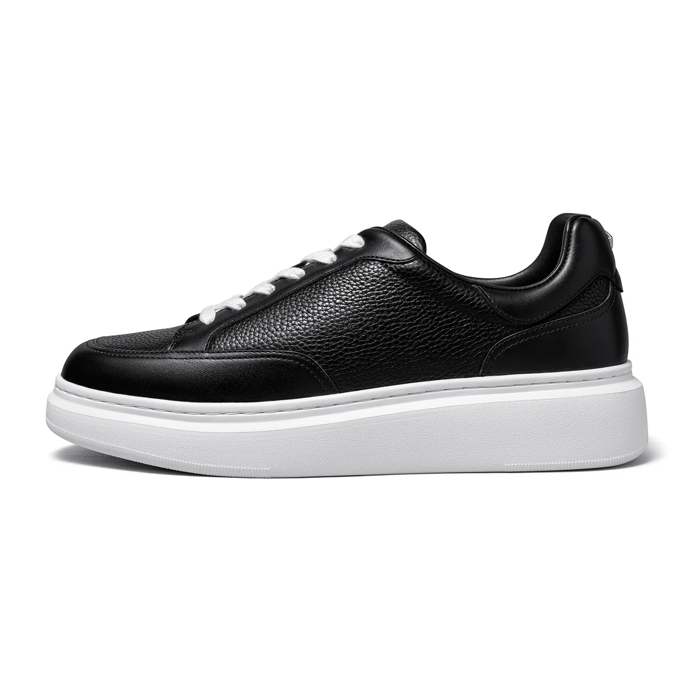 THOM WILLS trainer