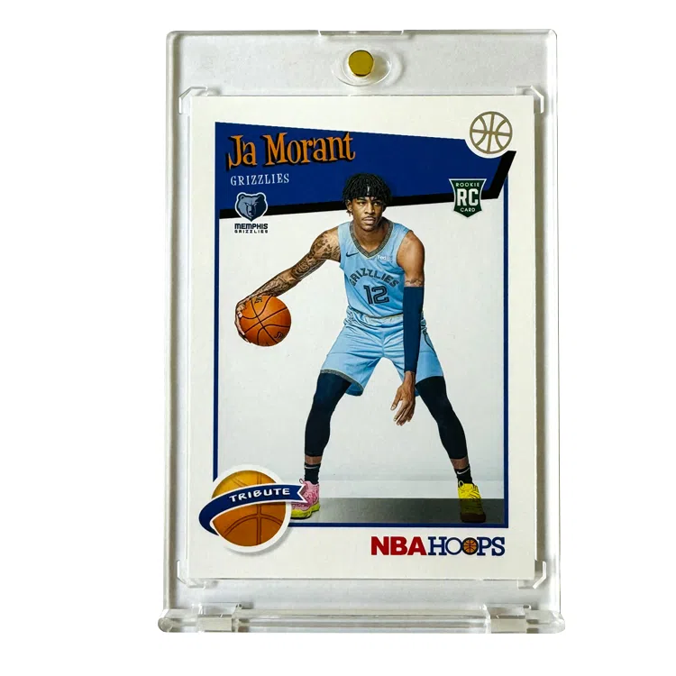 PANINI hoops 2019 RC