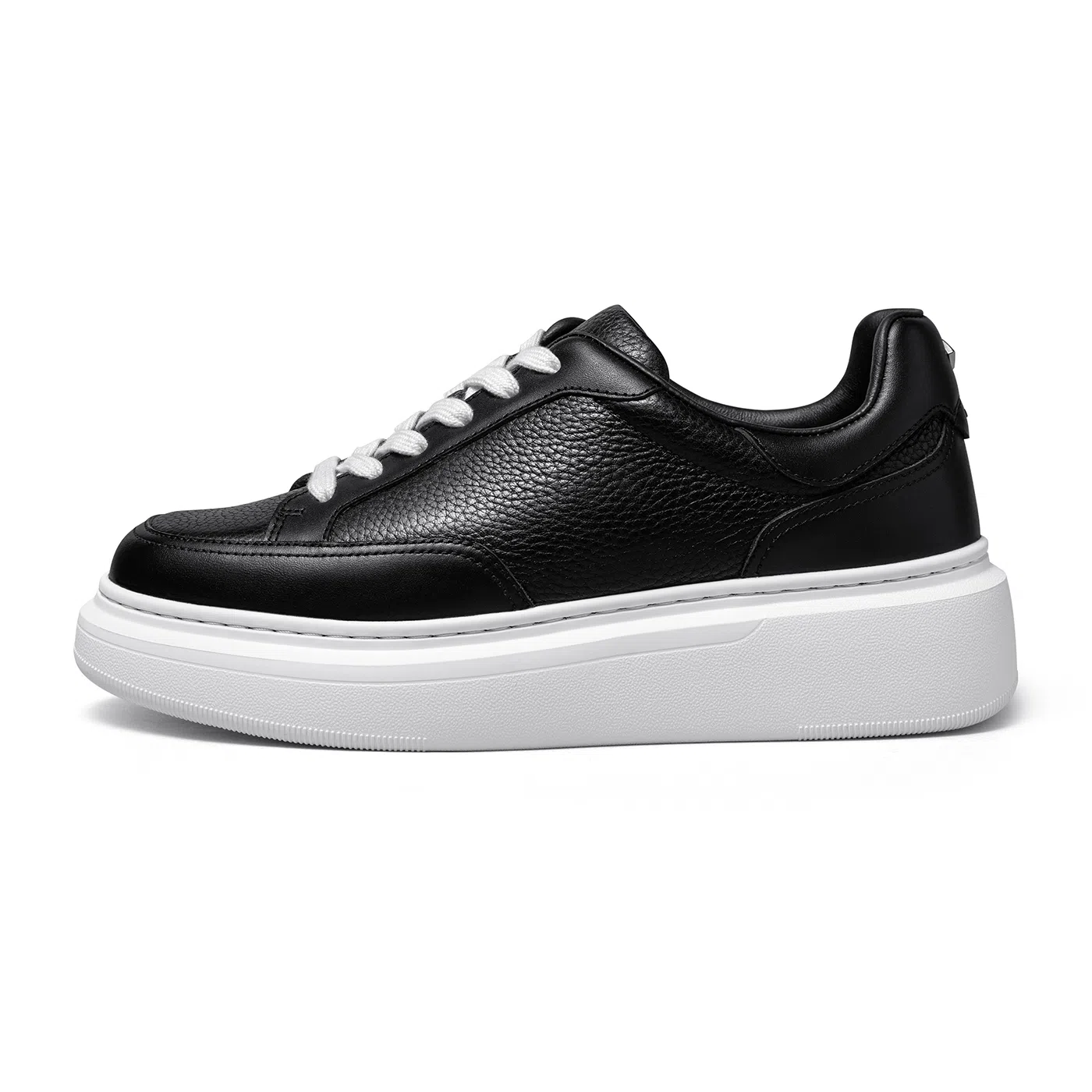 THOM WILLS trainer