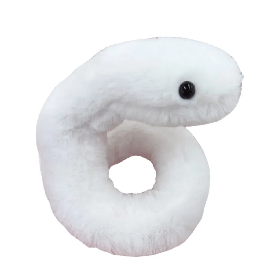40cm