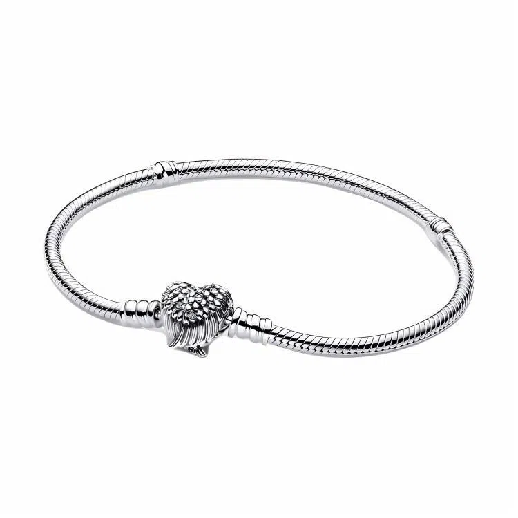 Pandora Bracelet