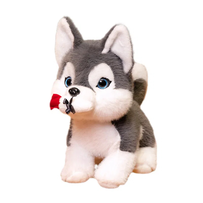 lionf 30cm