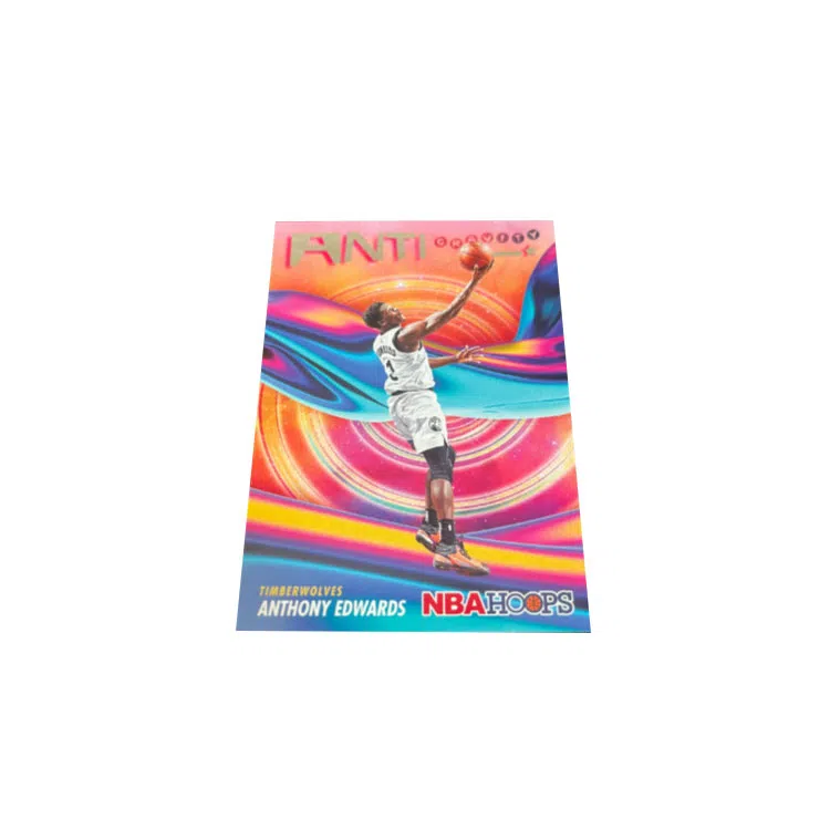 PANINI hoops