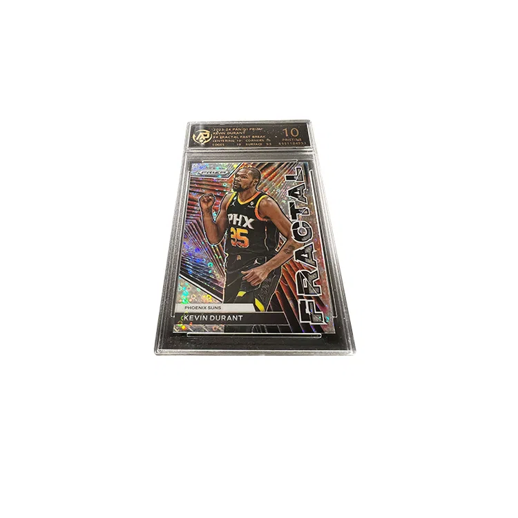 PANINI KD RPA