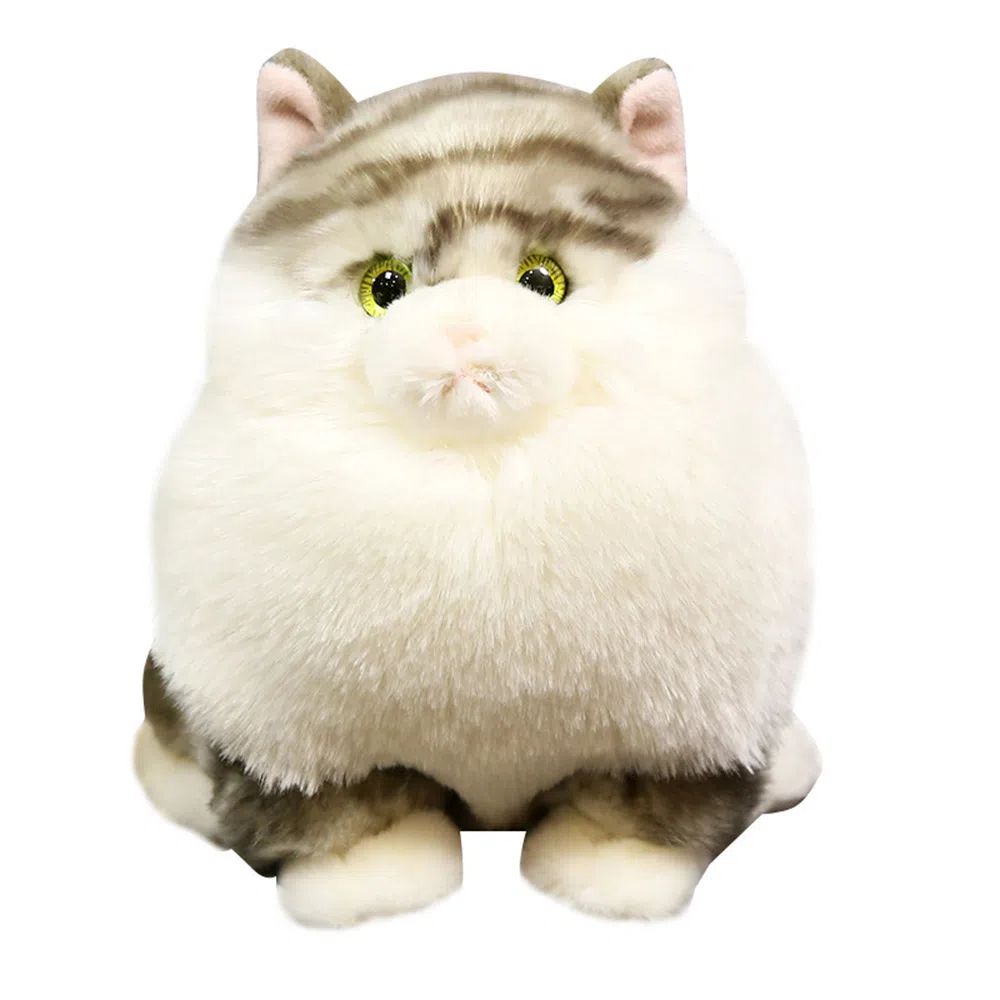 18cm22cm