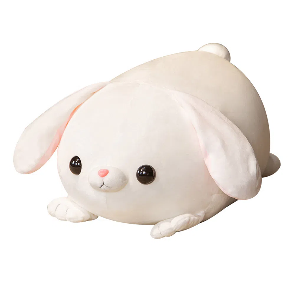 45cm 55cm