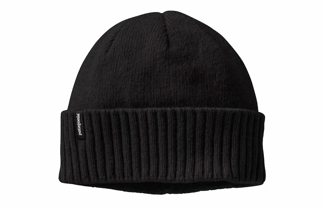 patagonia logo