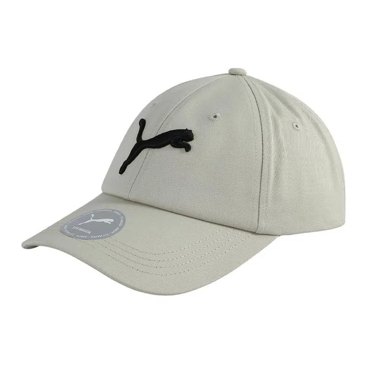 PUMA Cap Grey