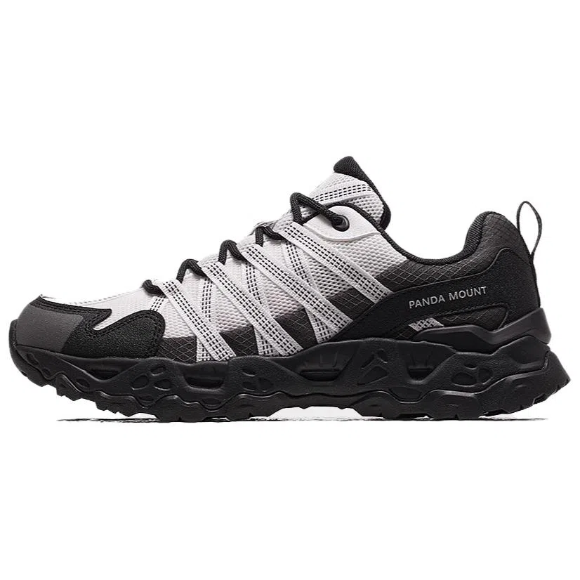 CAMEL Panda Collaboration