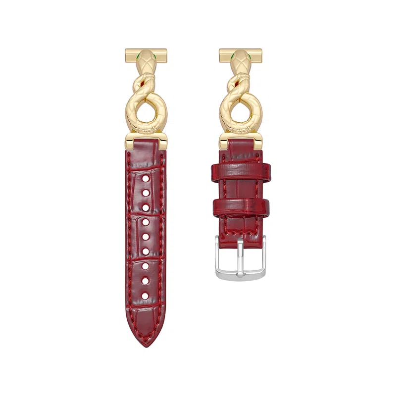 CHENSONG iwatchS10applewatch8s7s976543 206mm