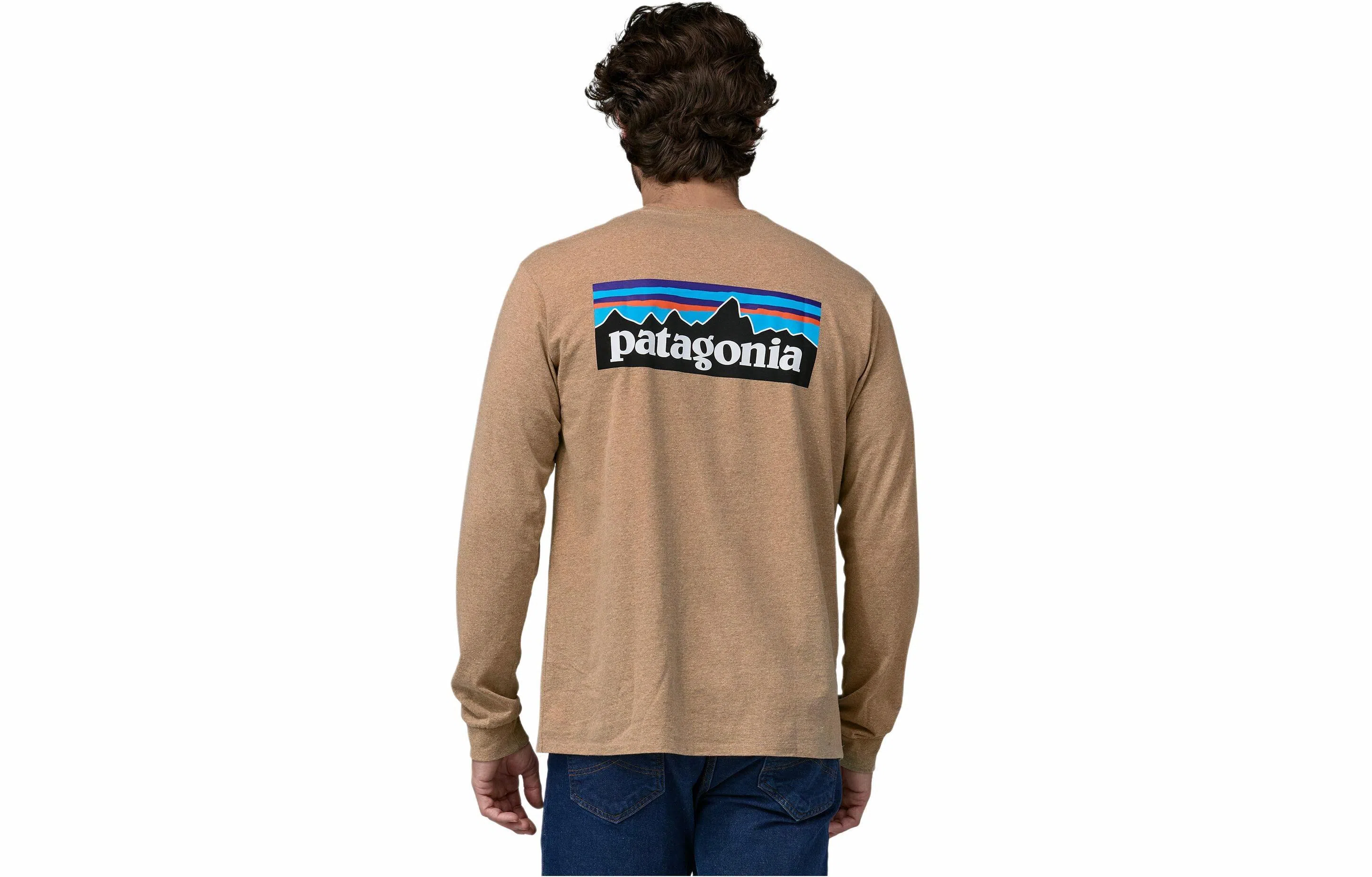 Patagonia P-6 Responsibili Tee