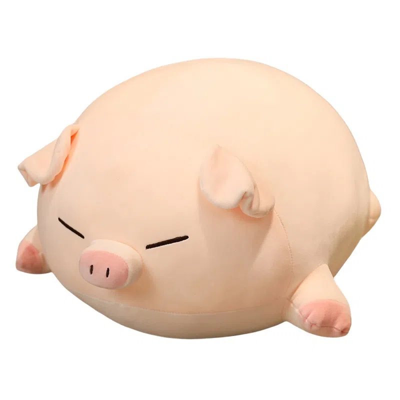 40cm50cm60cm80cm100cm