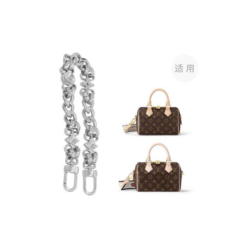 LOUIS VUITTON Speedy 20 diy