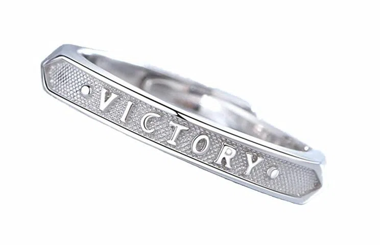FireMonkey S925