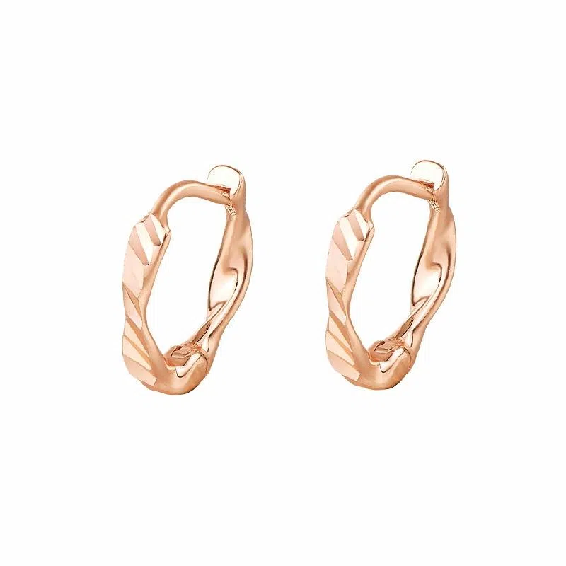 Qidu Mobius Earrings