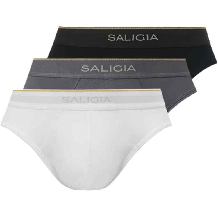 SALIGIA 3