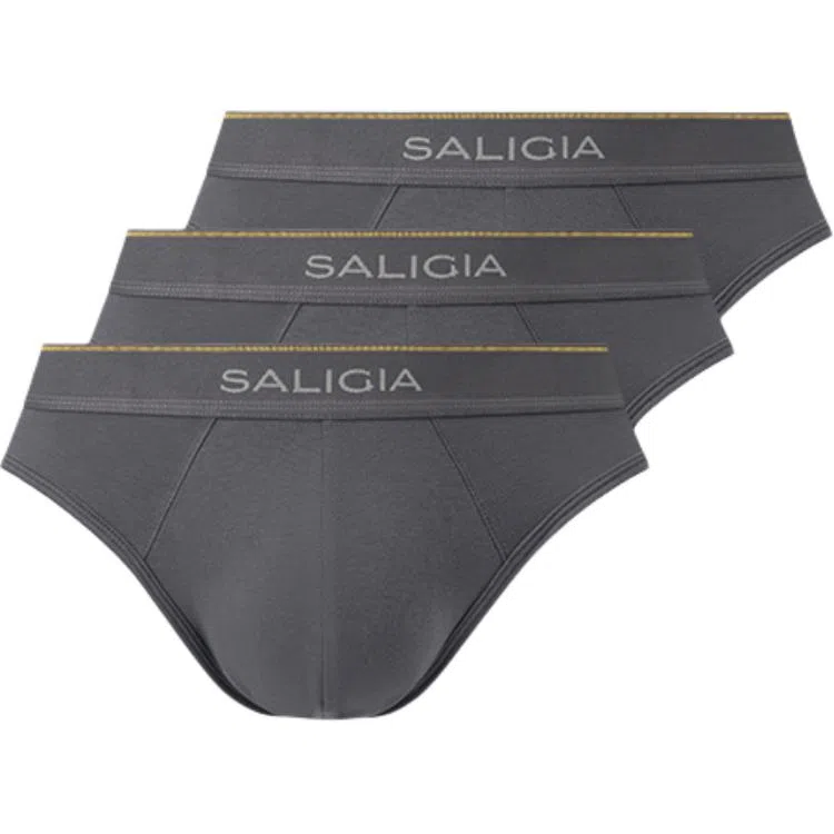 SALIGIA 3