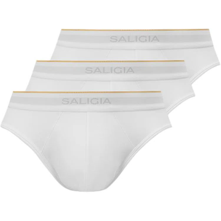 SALIGIA 3