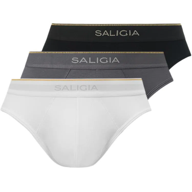 SALIGIA 3