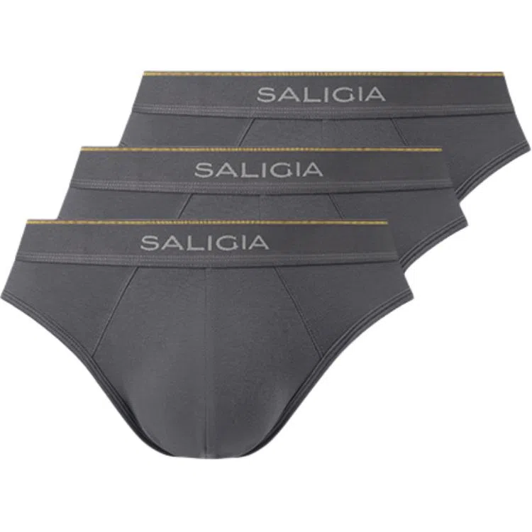 SALIGIA 3