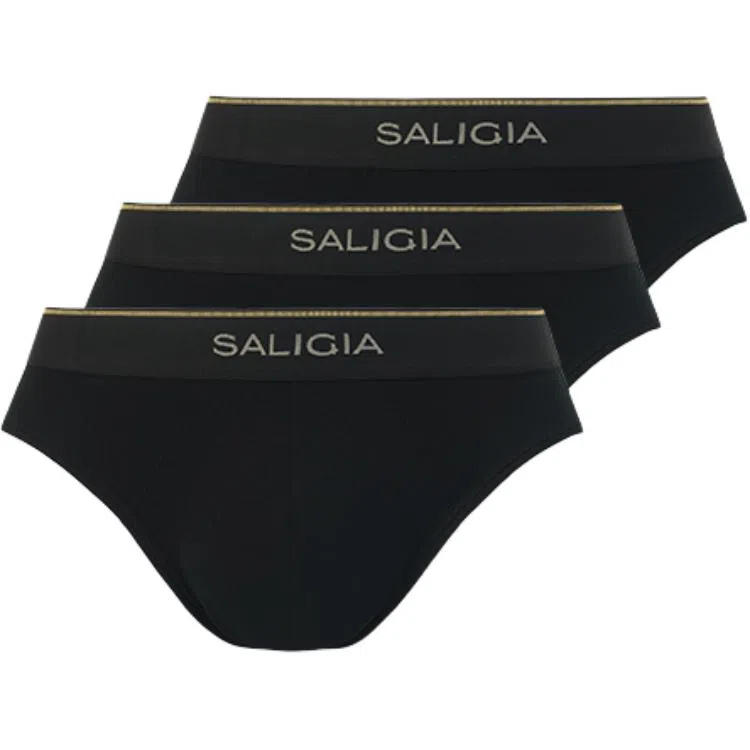 SALIGIA 3