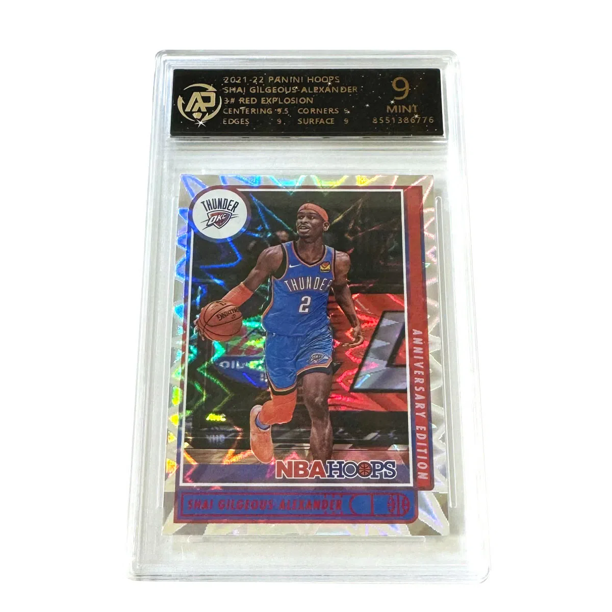 PANINI hoops 9