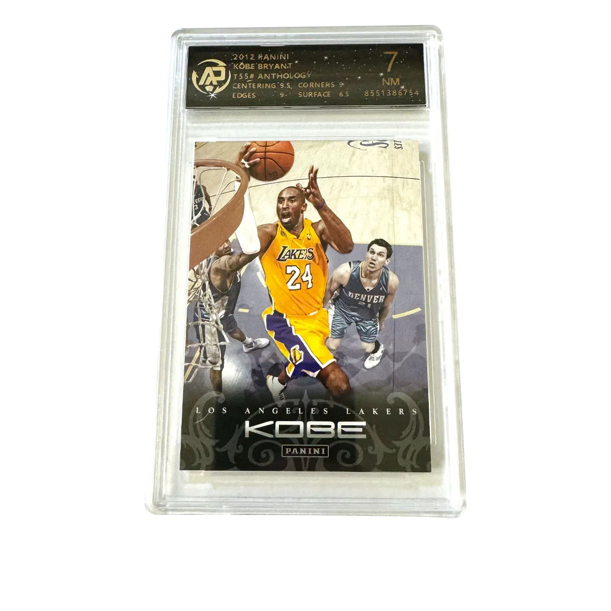 PANINI 7