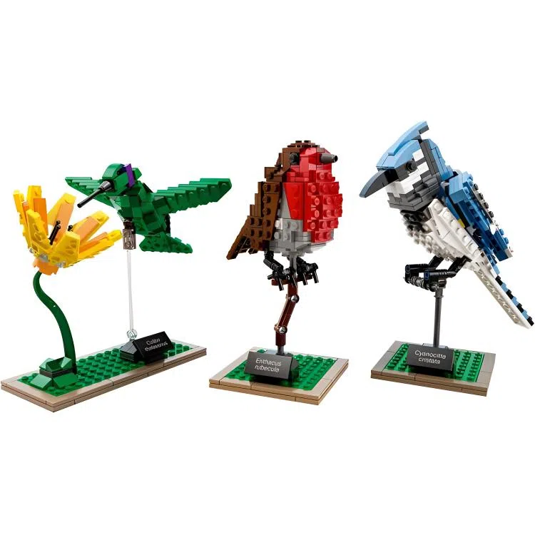 LEGO Ideas 21301