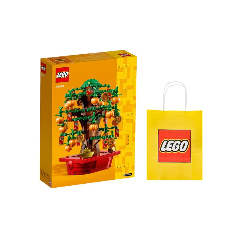 LEGO 40648