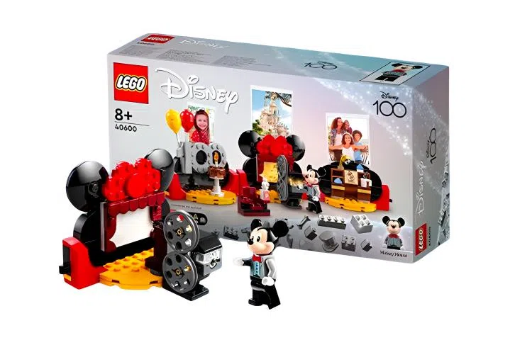 LEGO 100 40600