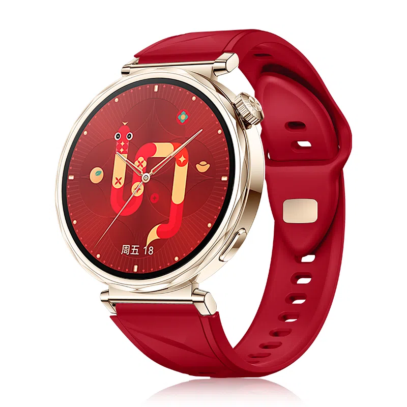 watchbond GT54142FKMgt5prowatchgt418mm 200mm